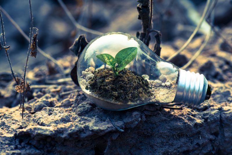 Cuidado del Medio Ambiente